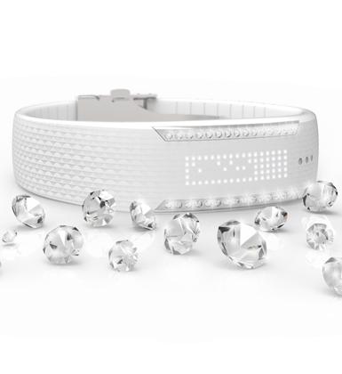 Polar Loop Crystal Δραστηριογράφος